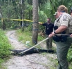 Florida: Mountainbiker nach Sturz von Alligator angegriffen