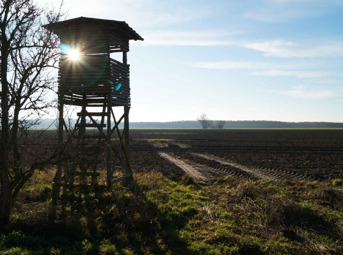 Todes-Rätsel um 19-jährigen Mann unter Hochstand gelöst